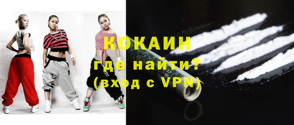 apvp Бородино