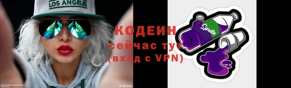 apvp Бородино