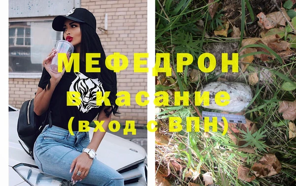 apvp Бородино