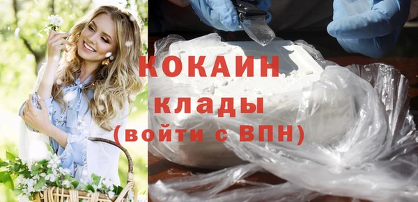 шишки Бронницы