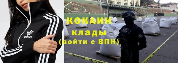 apvp Бородино