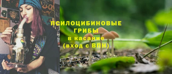 apvp Бородино